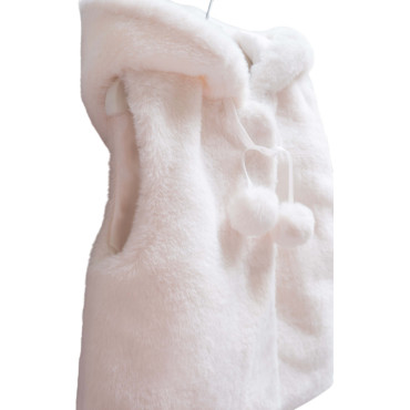 Vest, series BASIC