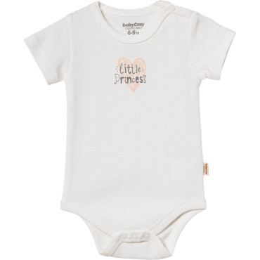 Body set 2pcs (pack of 6 sets)