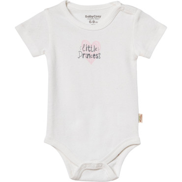 Body set 2pcs (pack of 6 sets)