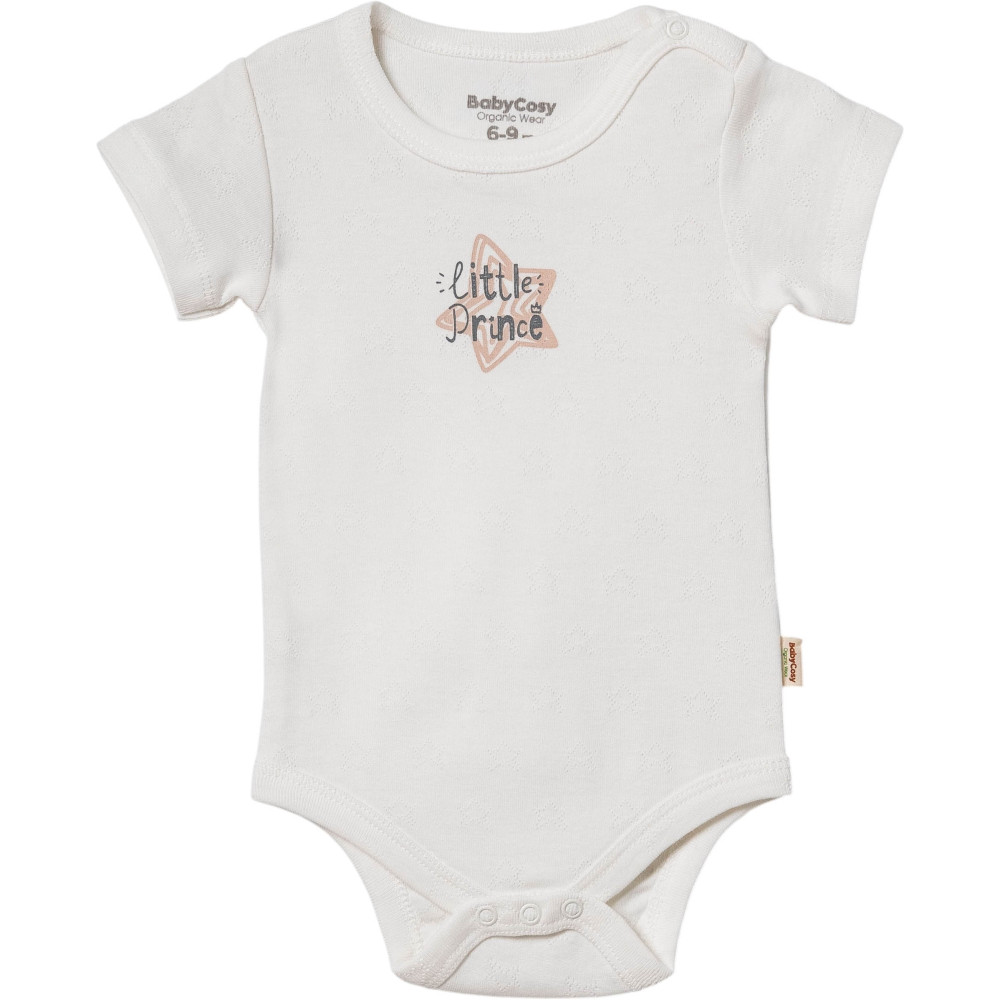 Body set 2pcs (pack of 6 sets)