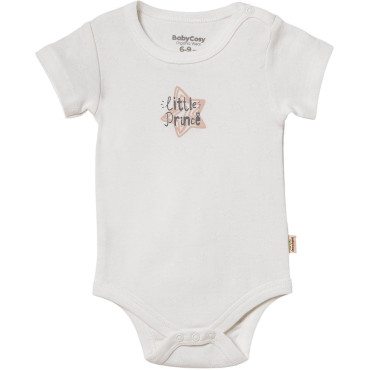 Body set 2pcs (pack of 6 sets)