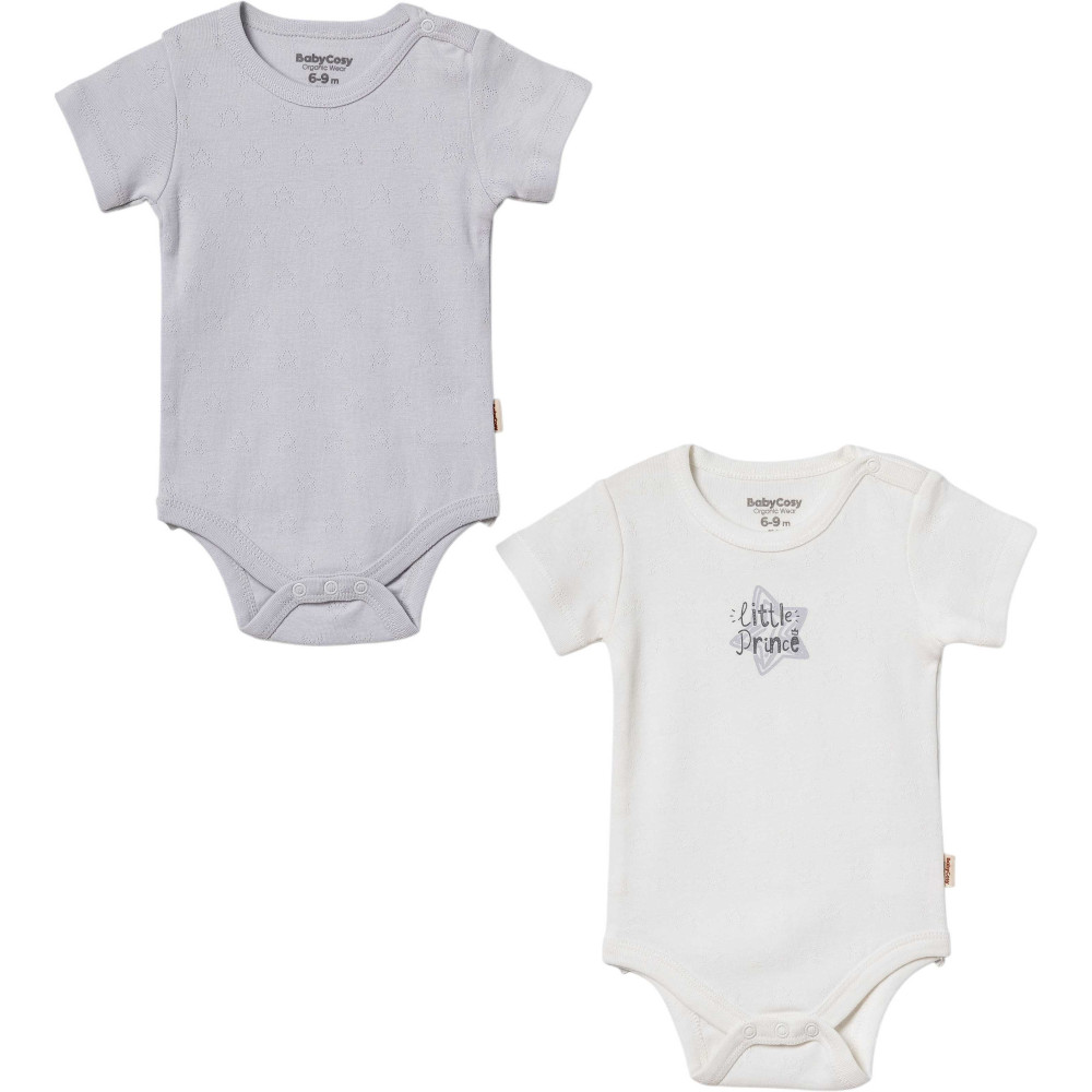 Body set 2pcs (pack of 6 sets)