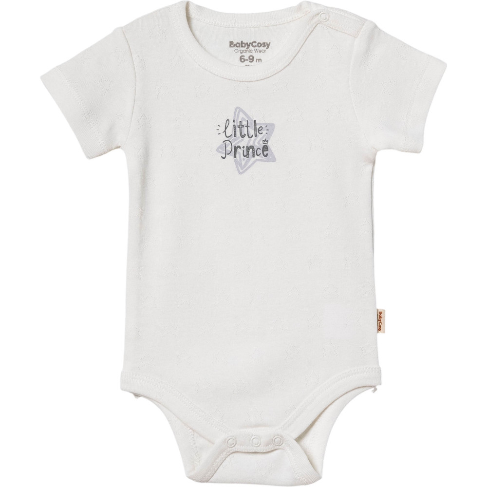 Body set 2pcs (pack of 6 sets)