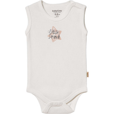 Body set 2pcs (pack of 6 sets)