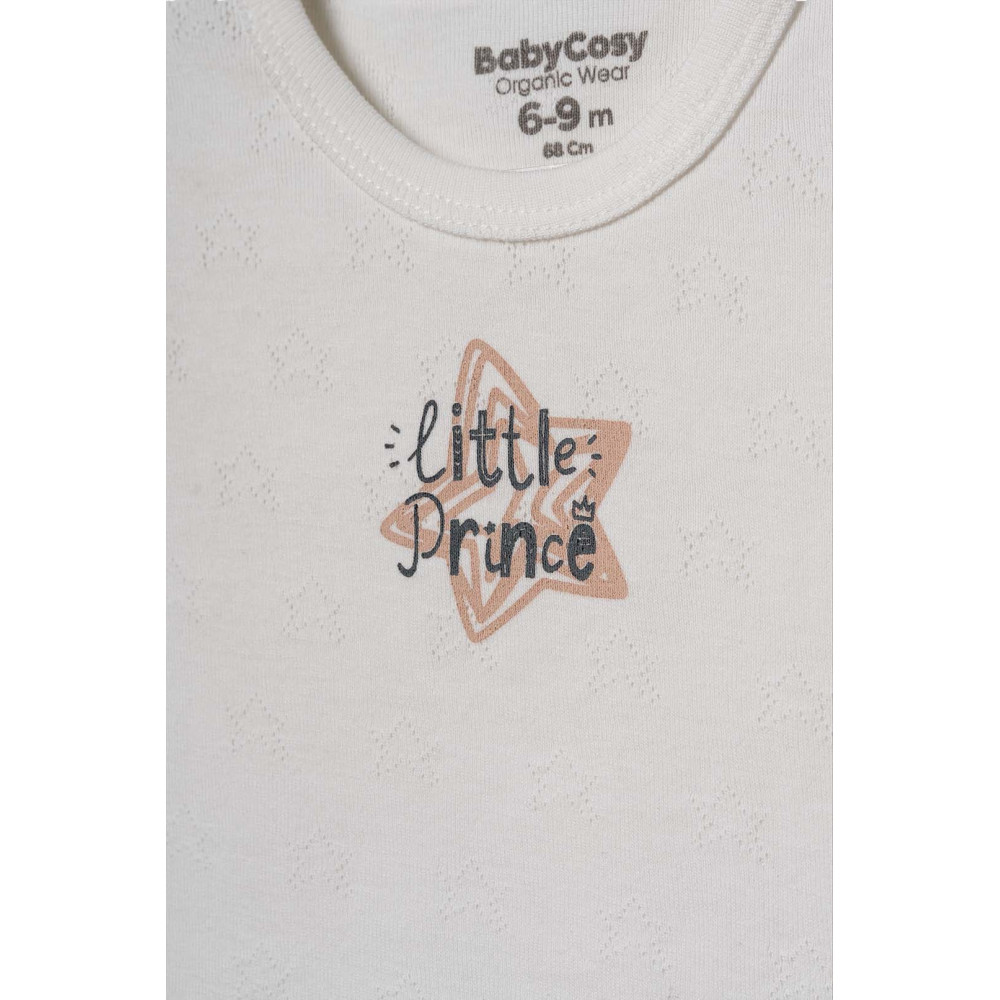 Body set 2pcs (pack of 6 sets)