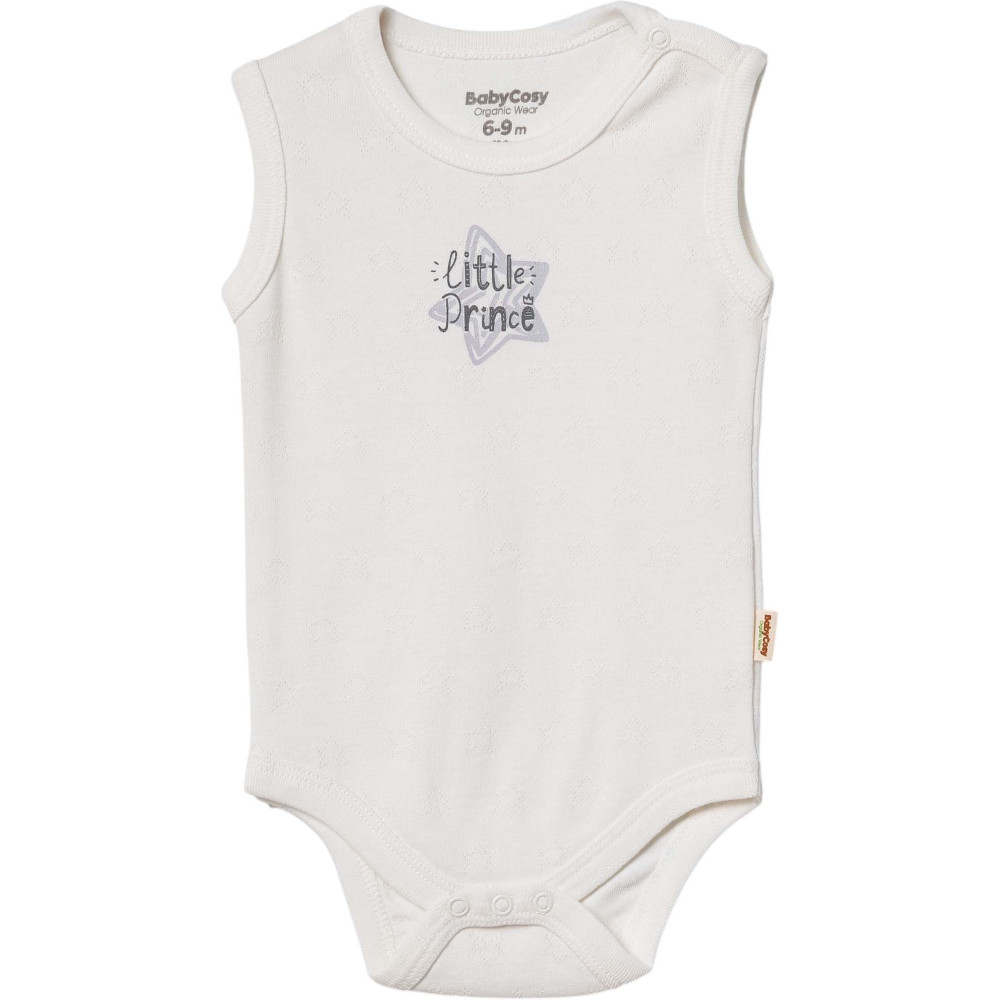 Body set 2pcs (pack of 6 sets)