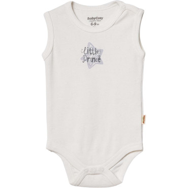 Body set 2pcs (pack of 6 sets)