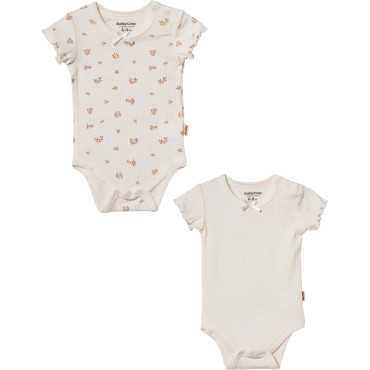 Body set 2pcs (pack of 6 sets)