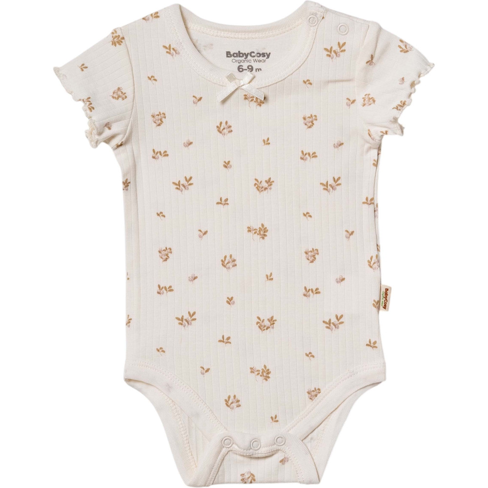 Body set 2pcs (pack of 6 sets)