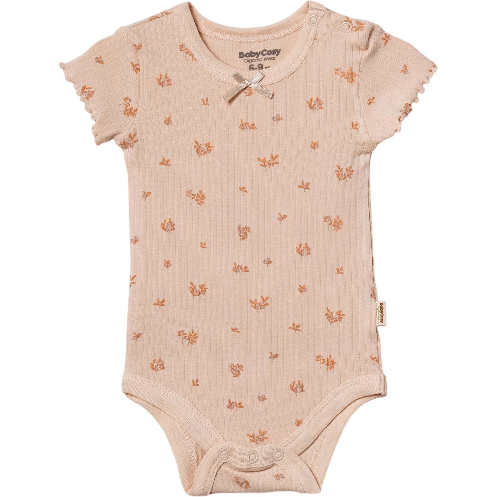 Body set 2pcs (pack of 6 sets)