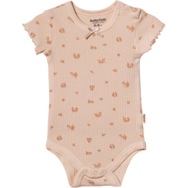 Body set 2pcs (pack of 6 sets)