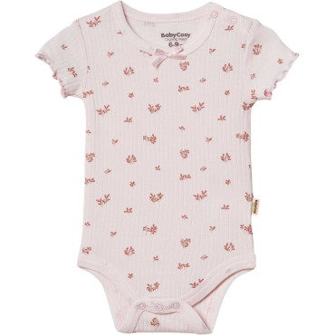 Body set 2pcs (pack of 6 sets)