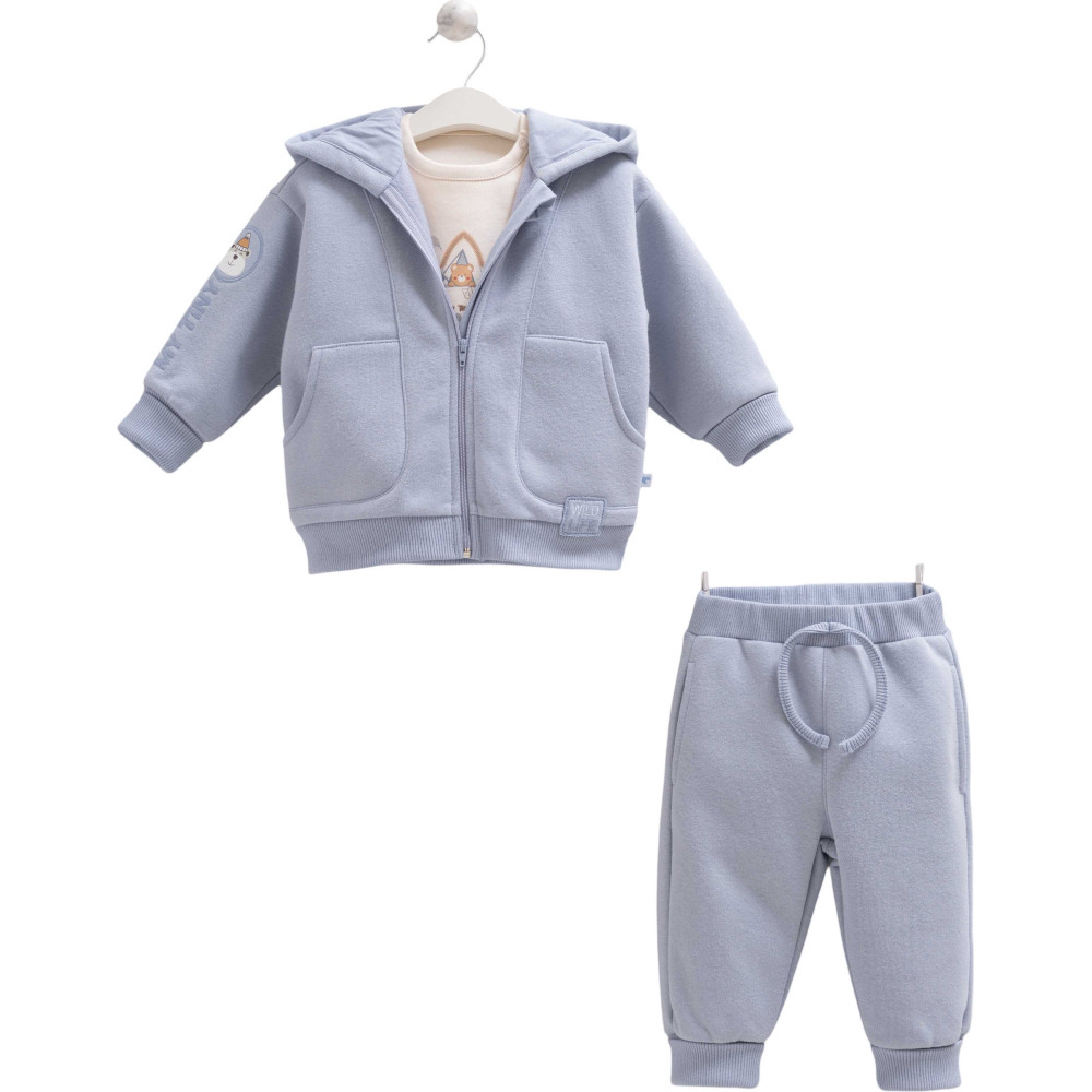 Set sweater+sweater+pants, series WILD