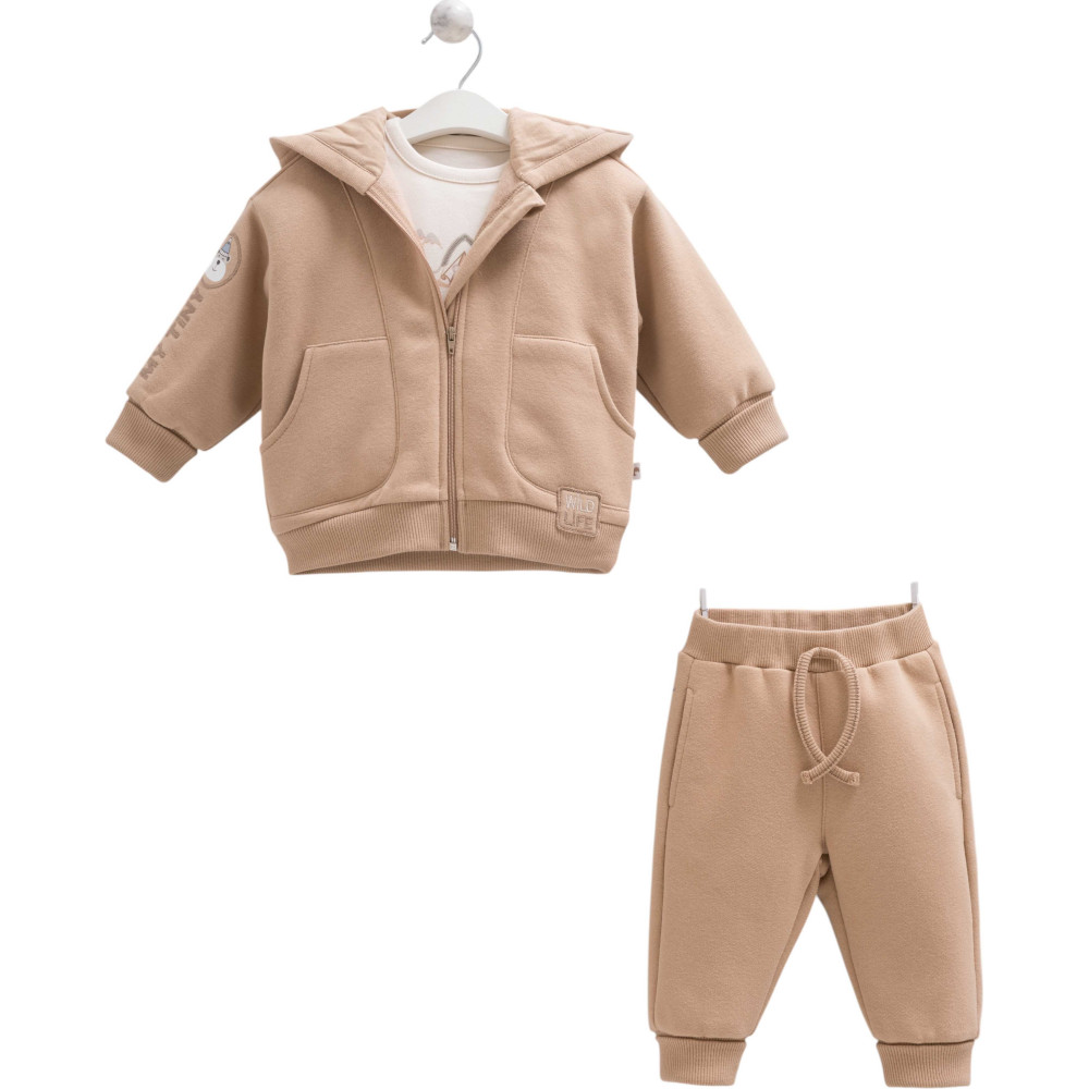 Set sweater+sweater+pants, series WILD
