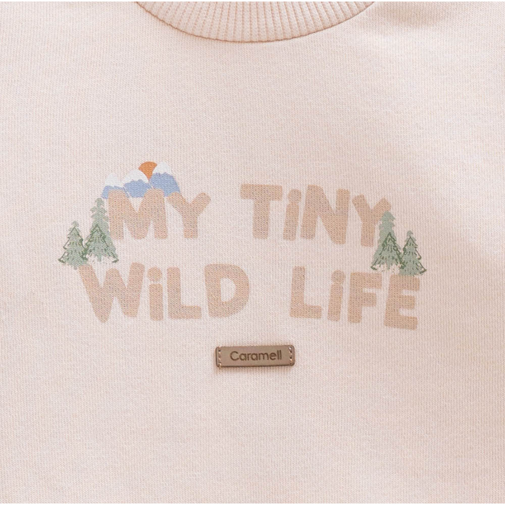 Set sweater+vest+pants, series WILD