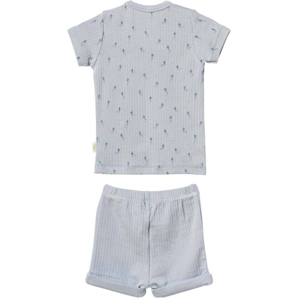 Set T-shirt+shorts