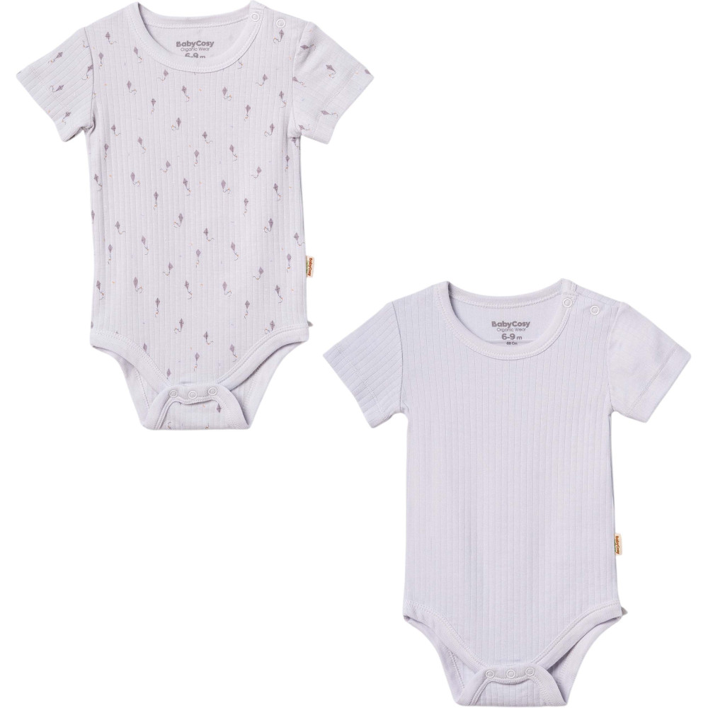 Body set 2pcs (pack of 6 sets)