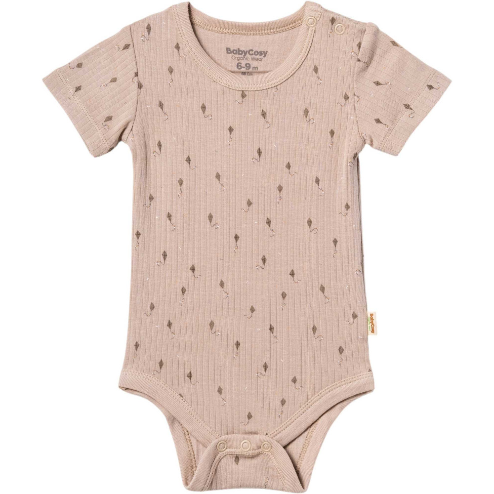 Body set 2pcs (pack of 6 sets)