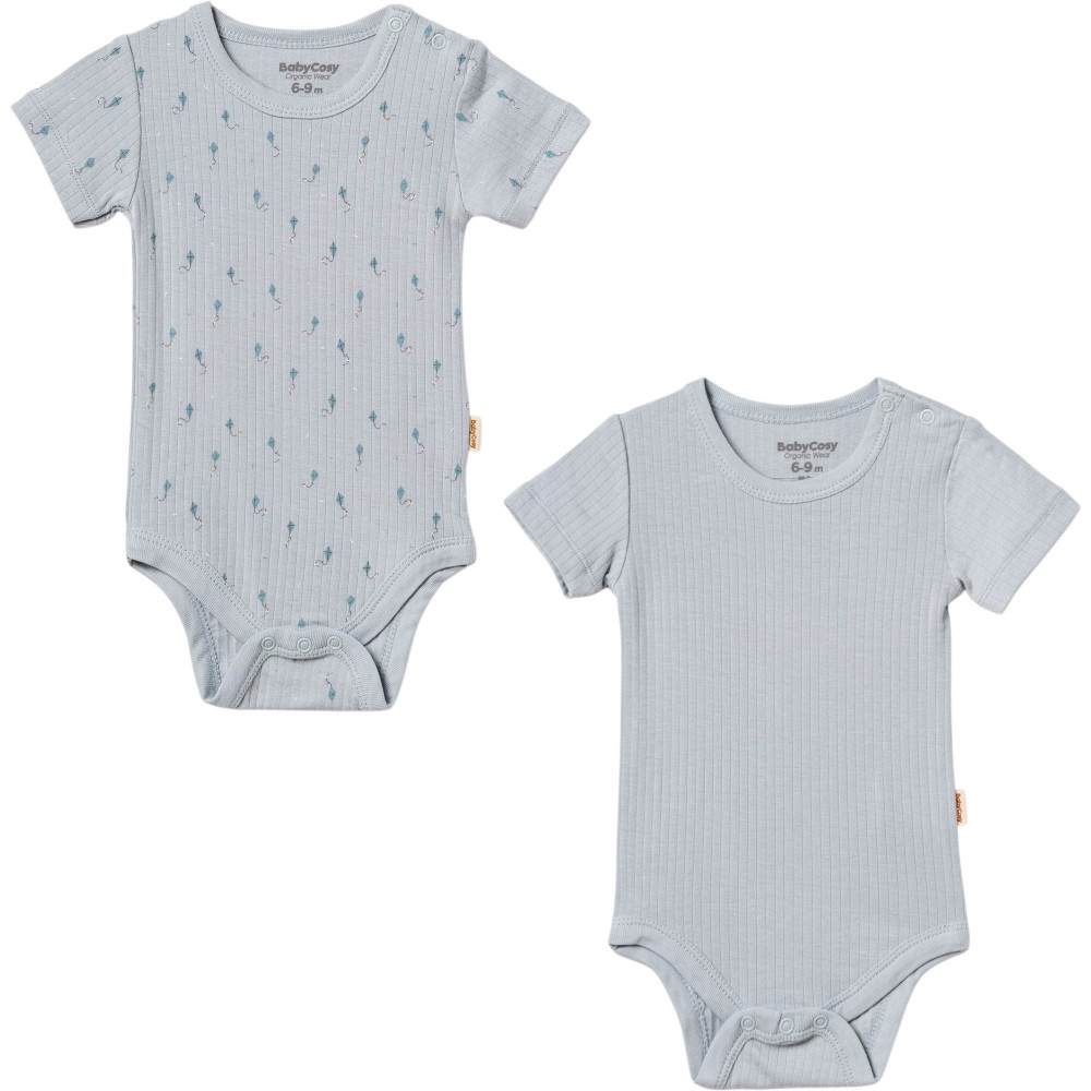 Body set 2pcs (pack of 6 sets)