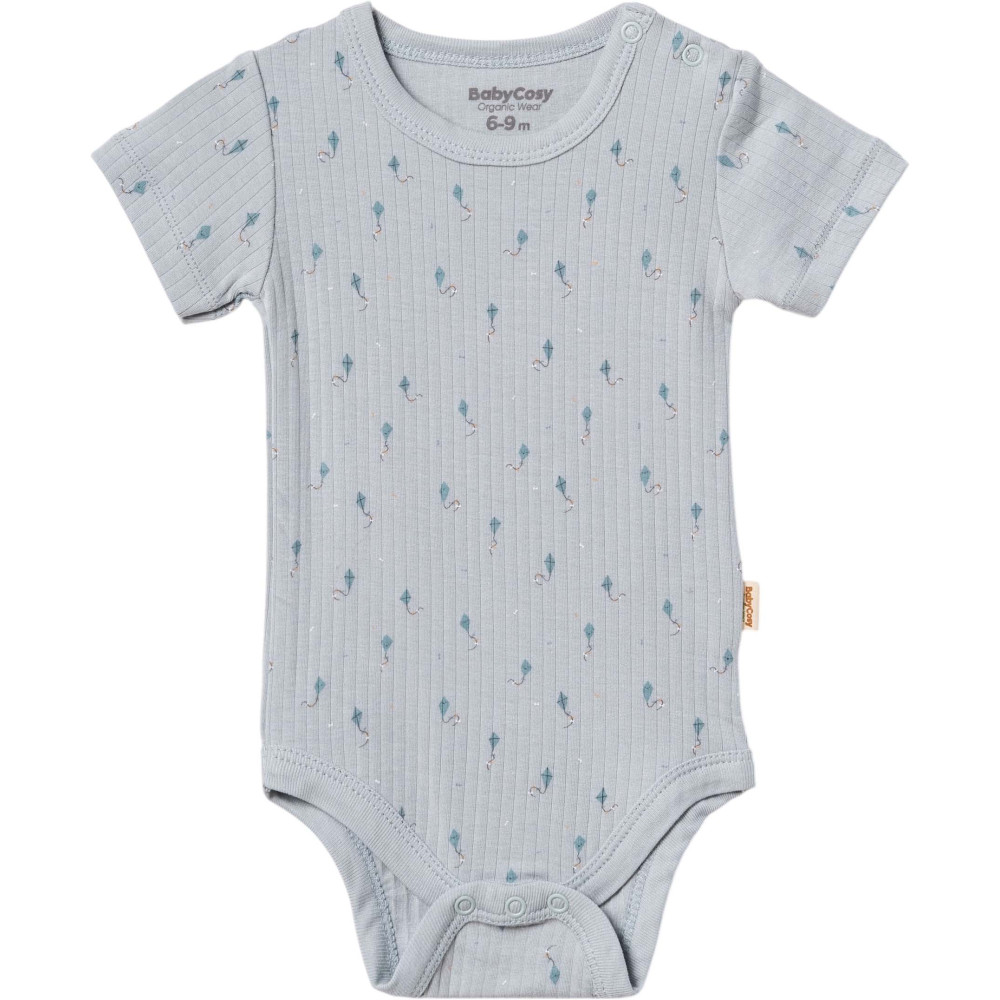 Body set 2pcs (pack of 6 sets)