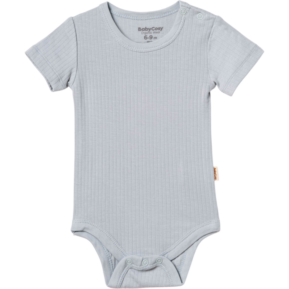 Body set 2pcs (pack of 6 sets)