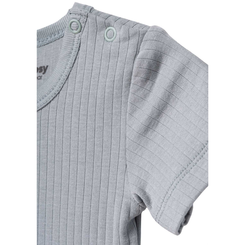 Body set 2pcs (pack of 6 sets)