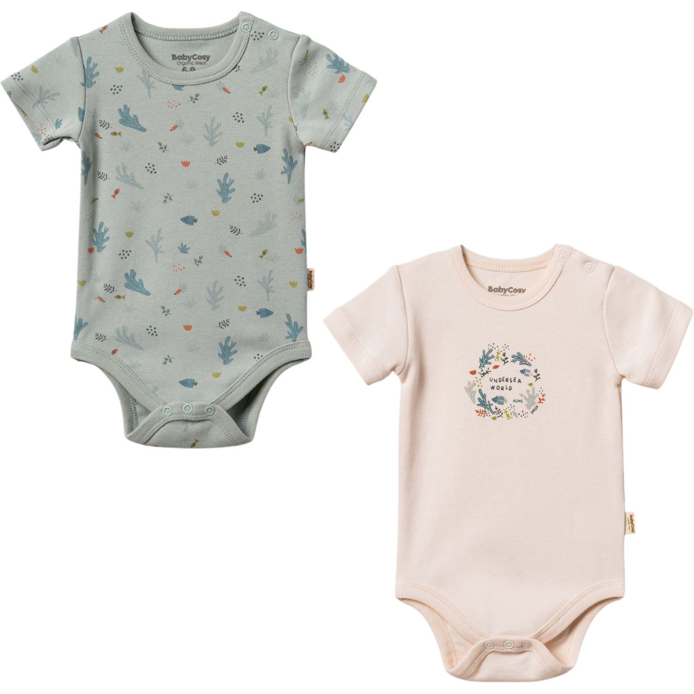 Body set 2pcs (pack of 6 sets)