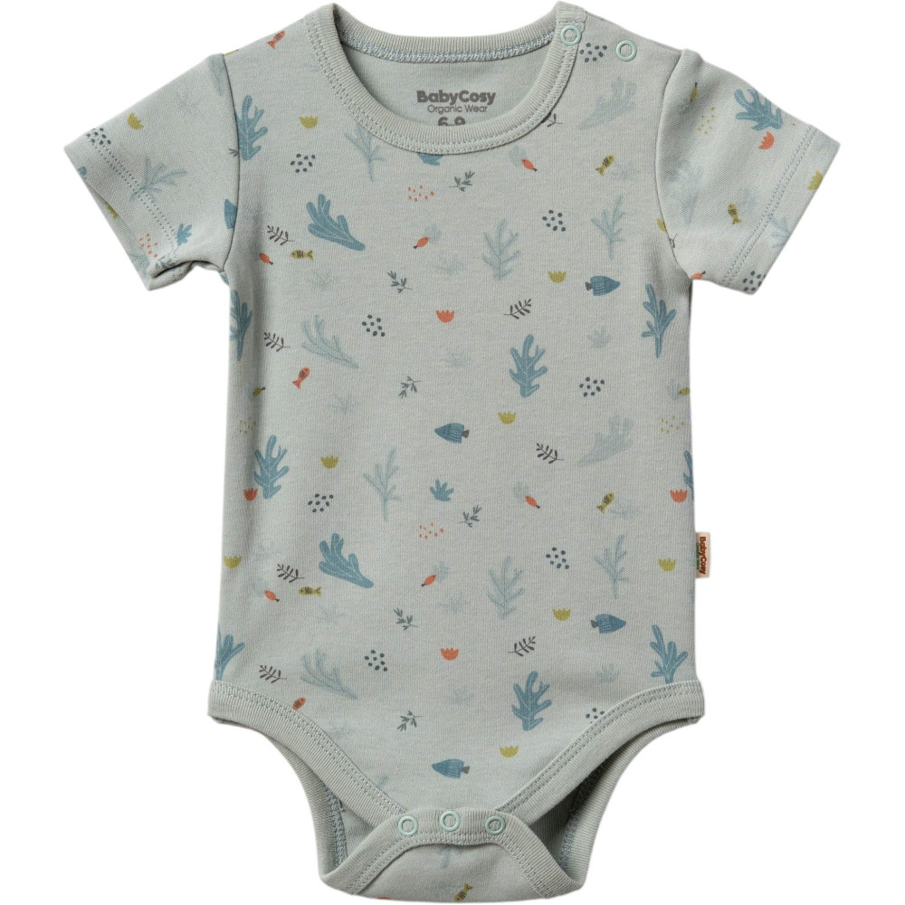 Body set 2pcs (pack of 6 sets)