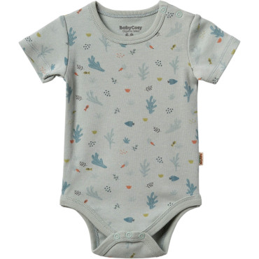 Body set 2pcs (pack of 6 sets)