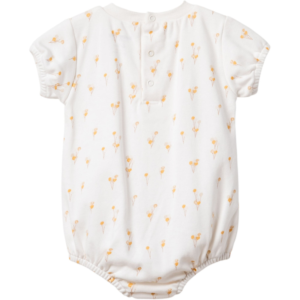 Body set 2pcs (pack of 5 sets)