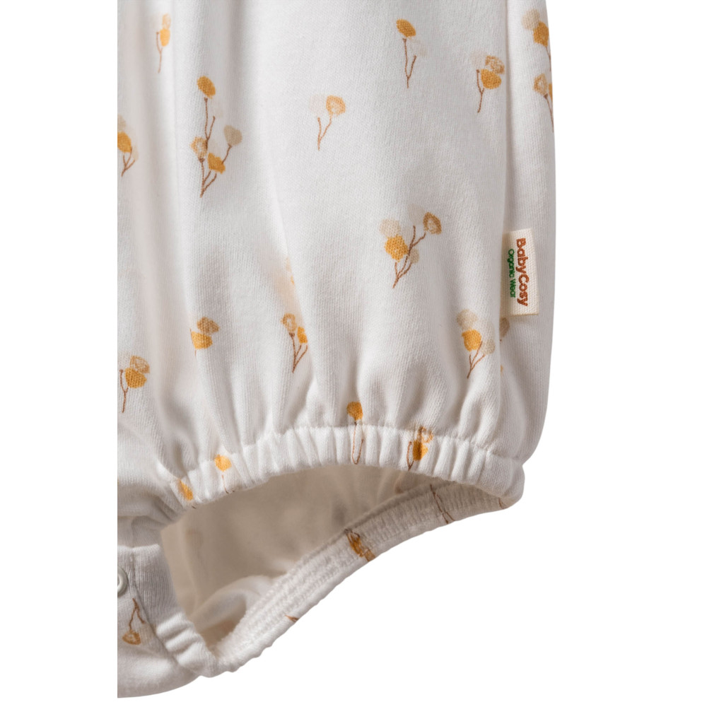 Body set 2pcs (pack of 5 sets)