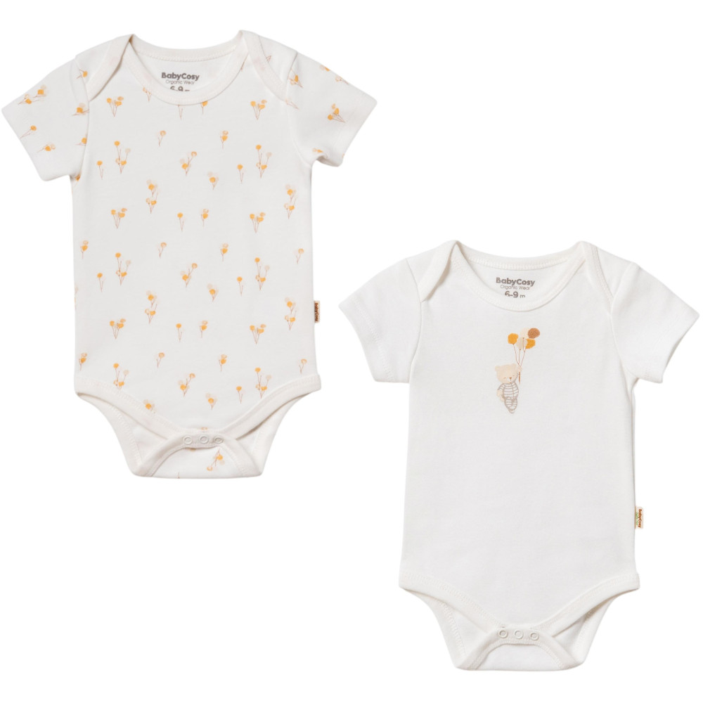 Body set 2pcs (pack of 6 sets)