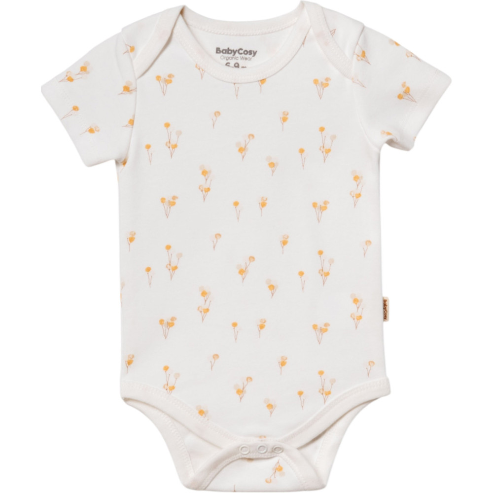 Body set 2pcs (pack of 6 sets)