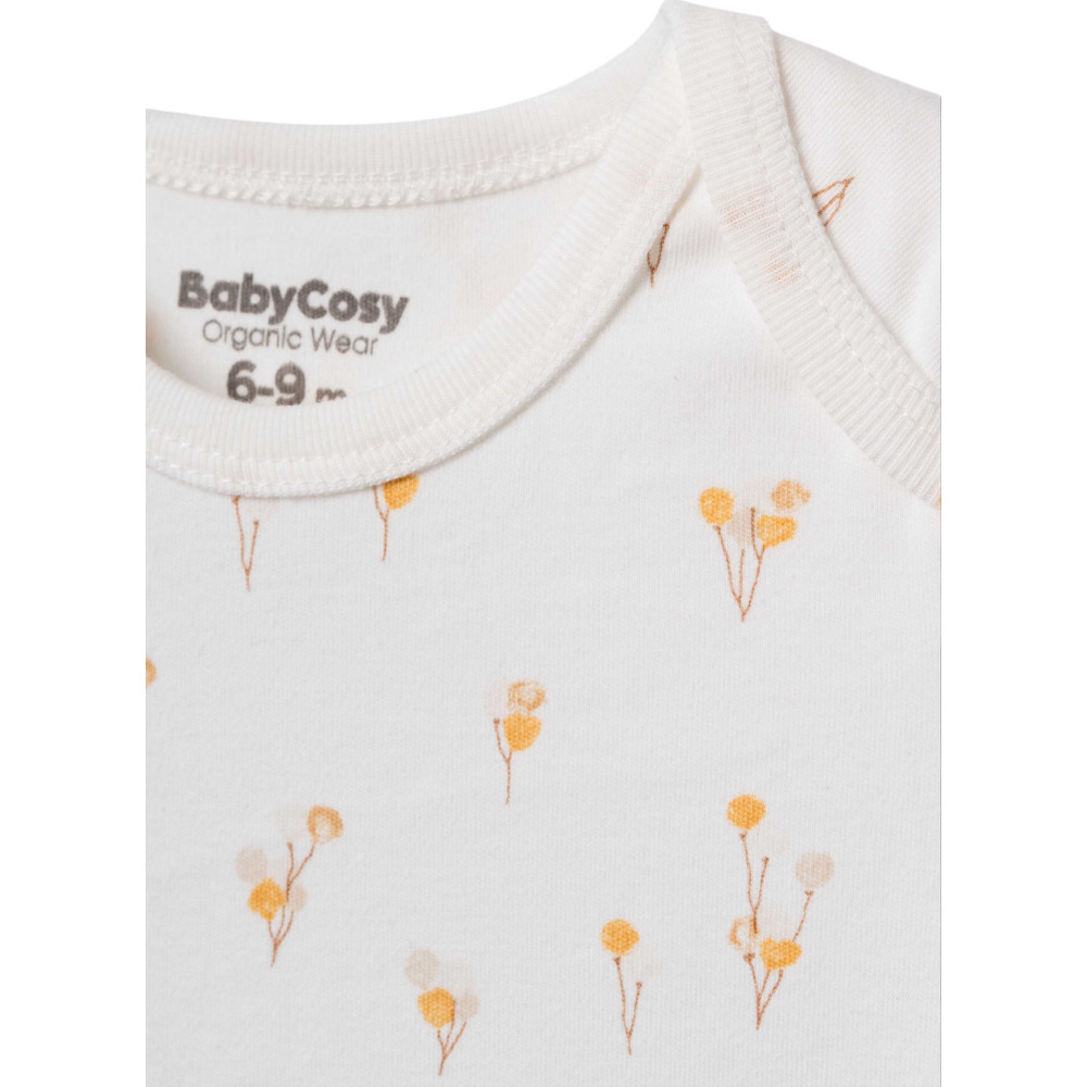 Body set 2pcs (pack of 6 sets)