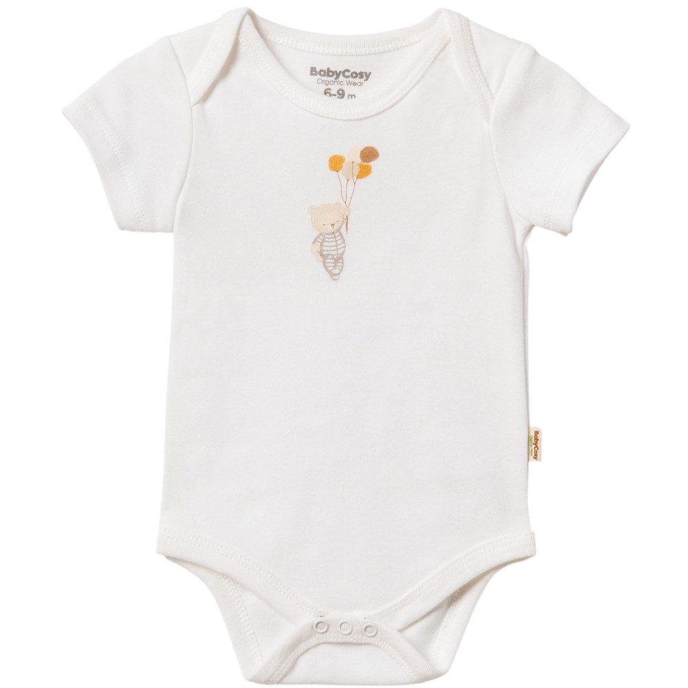 Body set 2pcs (pack of 6 sets)