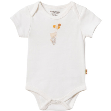 Body set 2pcs (pack of 6 sets)