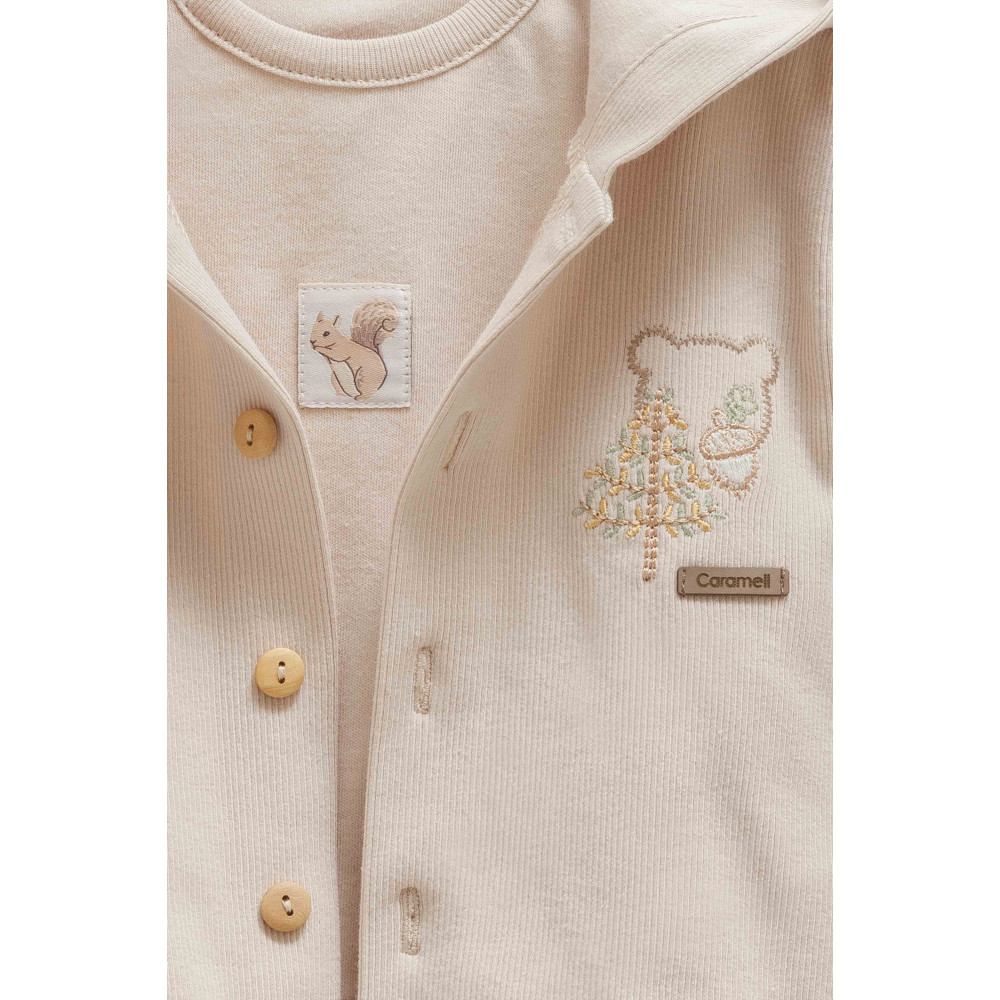 Set sweater+sweater+pants, series HELLO FOREST