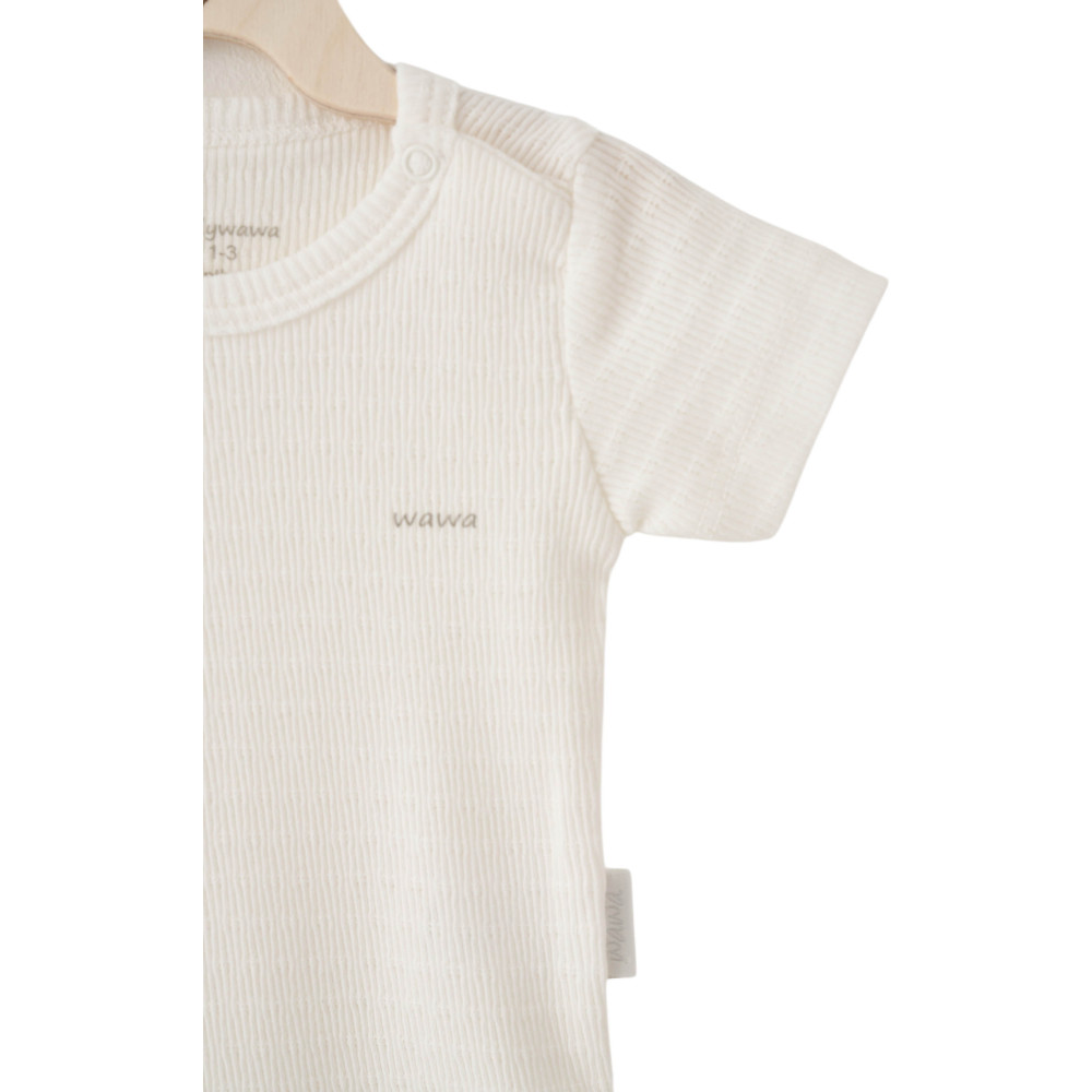 Body set 2pcs.(in a package of 14 sets), series JACQUARD SPECIAL MODAL. (Expected 30.01.2026)