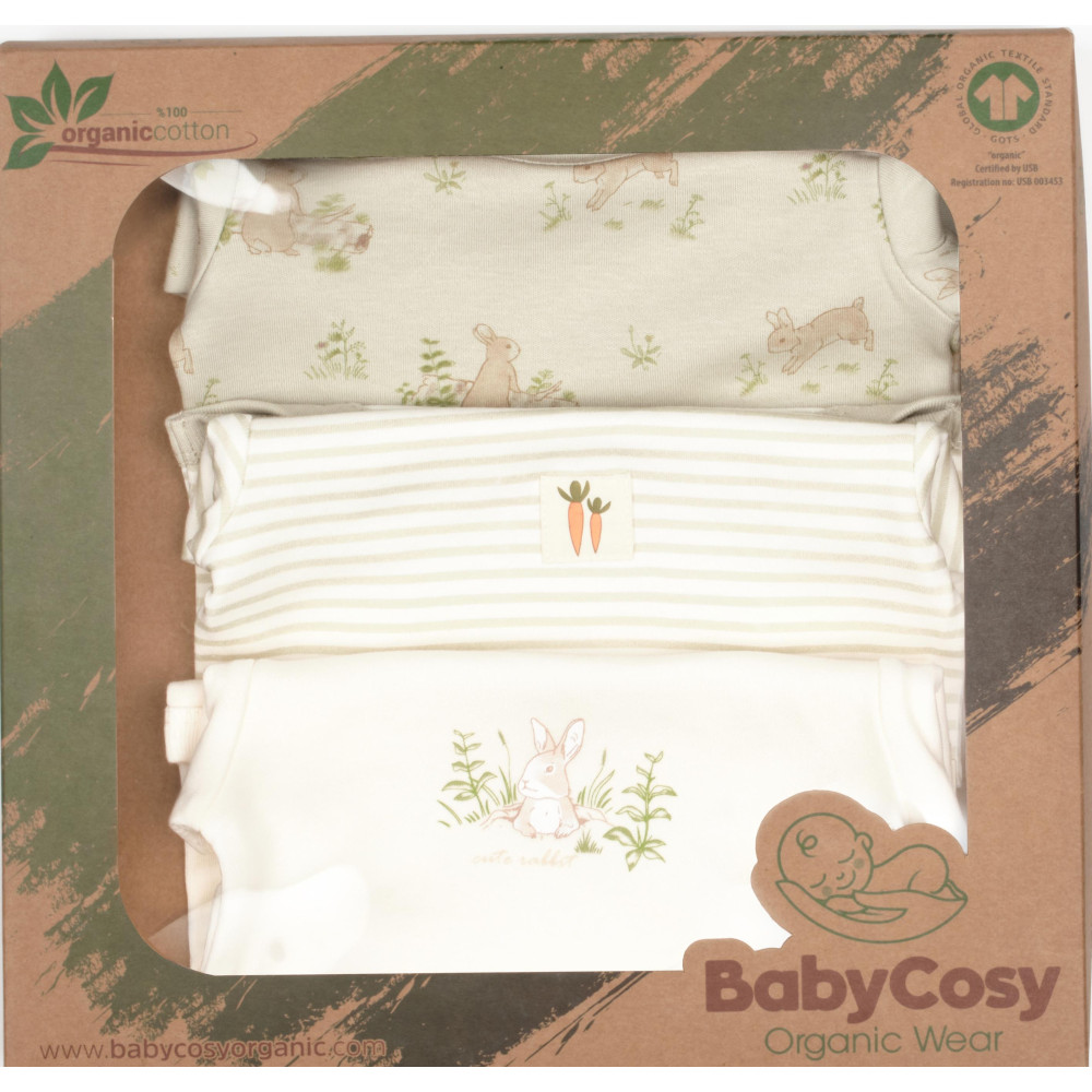 Body set 3pcs (pack of 3 sets)