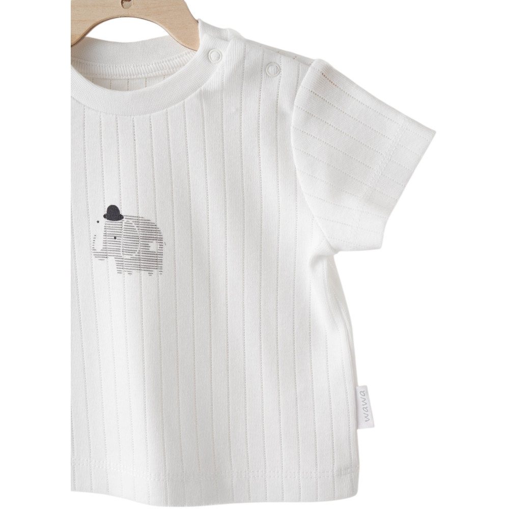 T-shirt+shorts set, HELLO ELEPHANT series. (Expected on 01/30/2026)