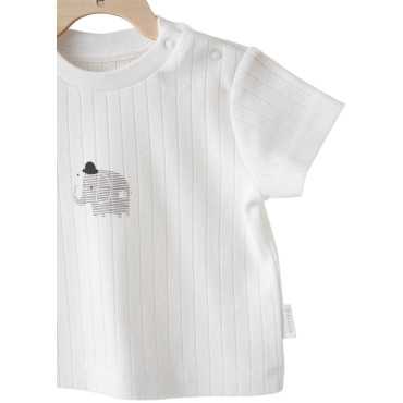 T-shirt+shorts set, HELLO ELEPHANT series. (Expected on 01/30/2026)