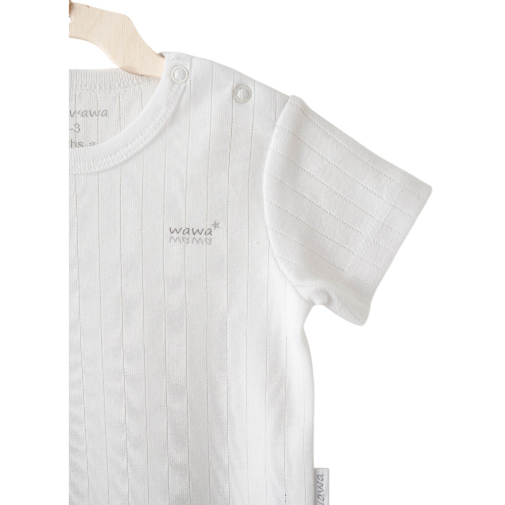 Body set 2pcs.(in a package of 6 sets), series HELLO ELEPHANT. (Expected 30.01.2026)