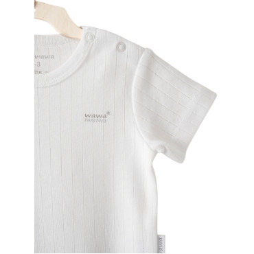 Body set 2pcs.(in a package of 6 sets), series HELLO ELEPHANT. (Expected 30.01.2026)