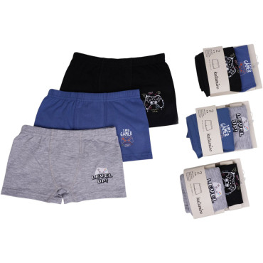 Set briefs 2pcs (pack of 6 sets) Level