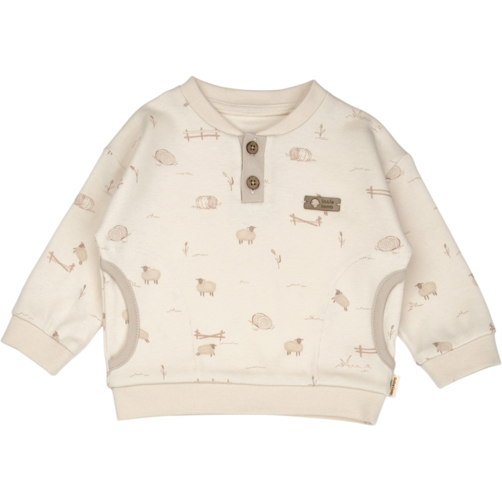 Set sweatshirt+pants