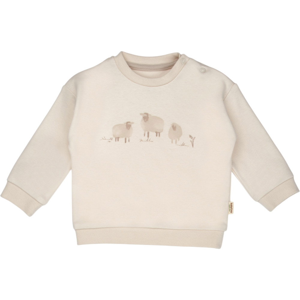 Set sweatshirt+pants