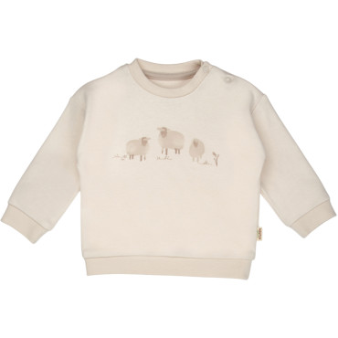 Set sweatshirt+pants