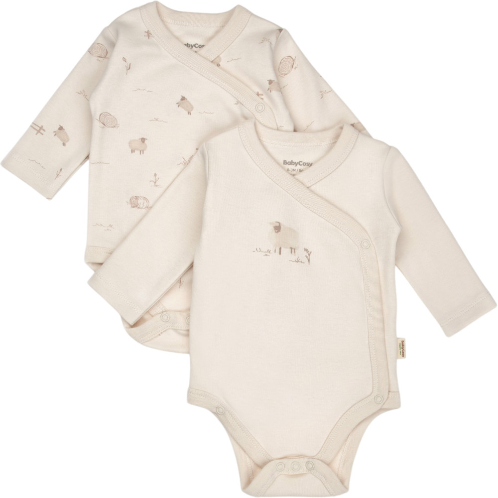 Body set 2pcs (pack of 2 sets)