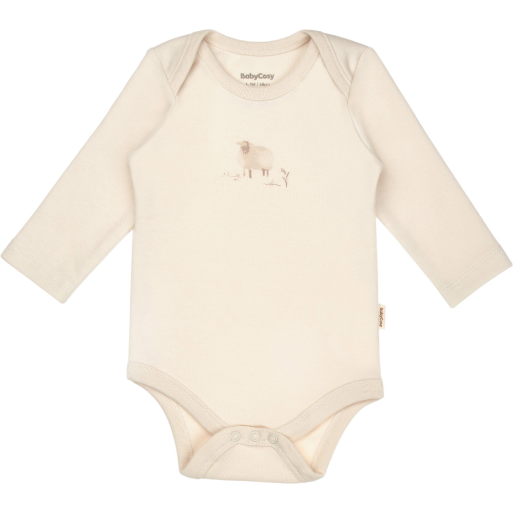 Body set 2pcs (pack of 6 sets)