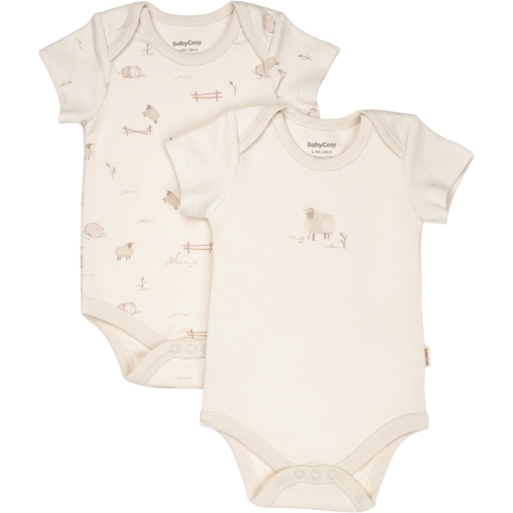 Body set 2pcs (pack of 6 sets)